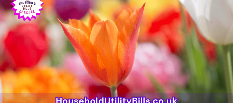 191_(Bulk 27) HUBS 4 HomeCare Image Template