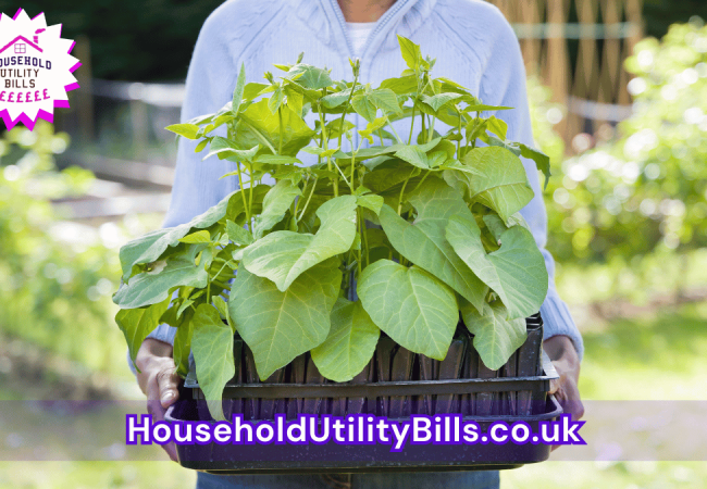 197_(Bulk 97) HUBS 4 HomeCare Image Template