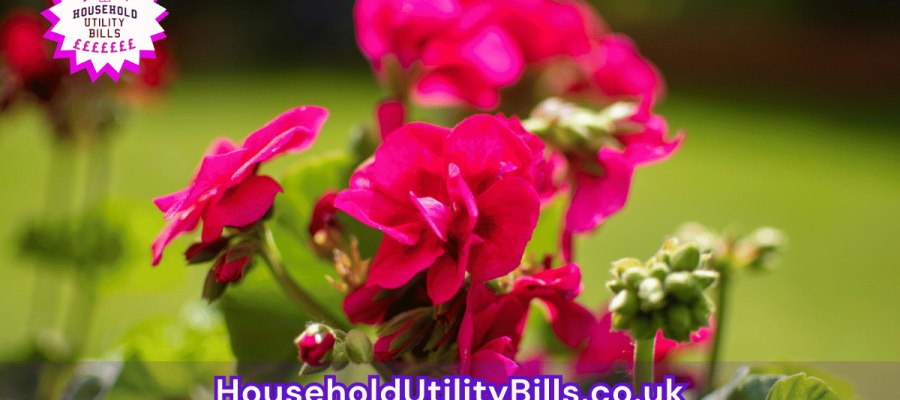 199_(Bulk 51) HUBS 4 HomeCare Image Template