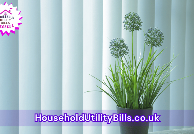 23_(Bulk 63) HUBS 2 HomeCare Image Template