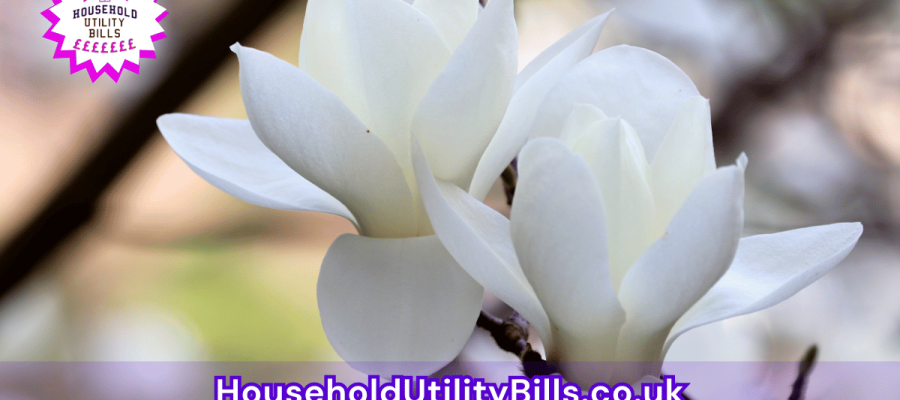 24_(Bulk 23) HUBS 4 HomeCare Image Template