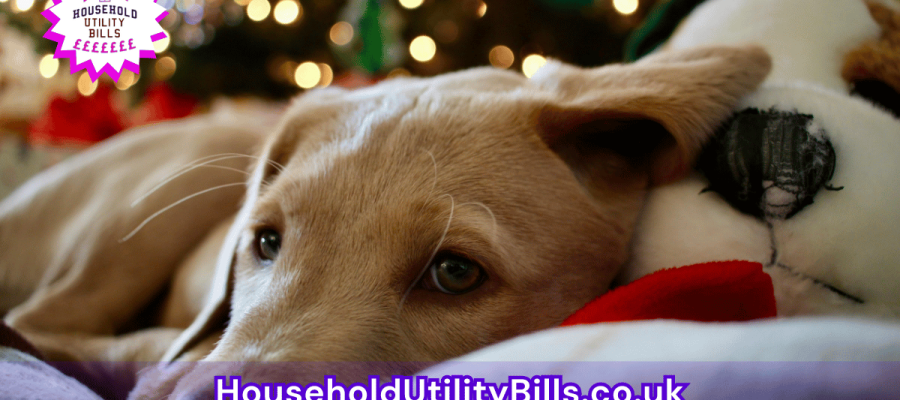 29_(Bulk 17) HUBS Energy Image Template