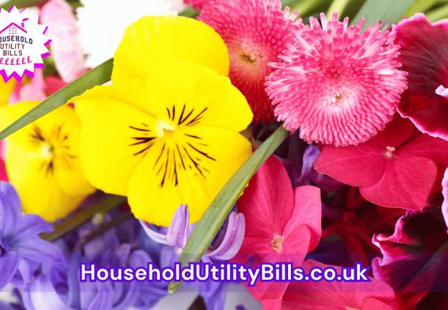 32_(Bulk 60) HUBS 4 HomeCare Image Template