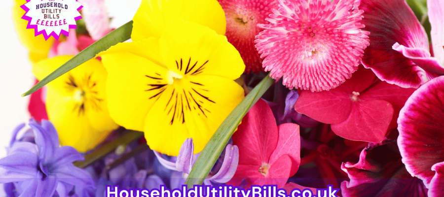 32_(Bulk 60) HUBS 4 HomeCare Image Template
