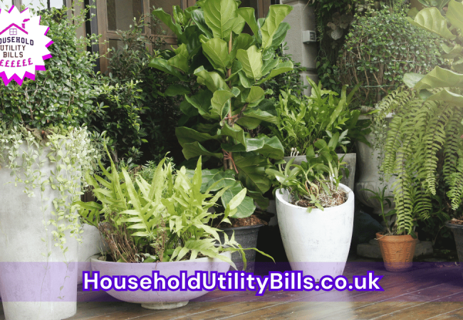 42_(Bulk 36) HUBS 4 HomeCare Image Template
