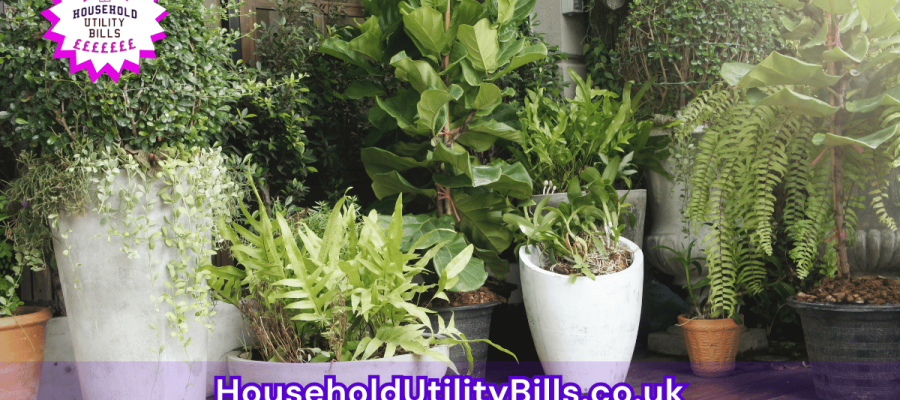 42_(Bulk 36) HUBS 4 HomeCare Image Template