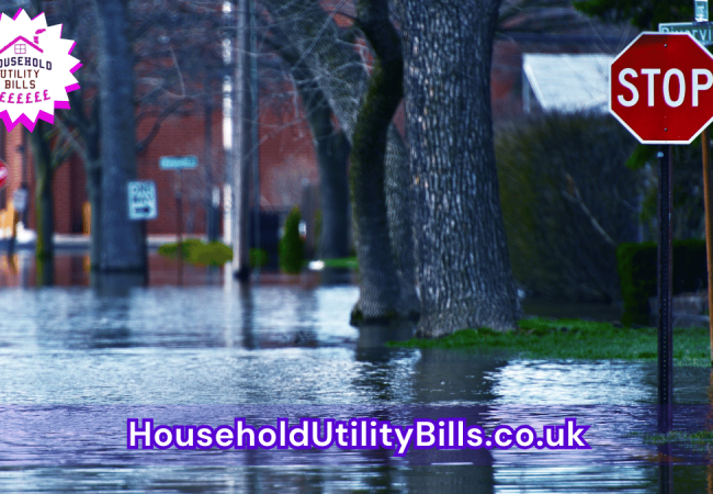 42_(Bulk 52) HUBS 1 Insurance Image Template