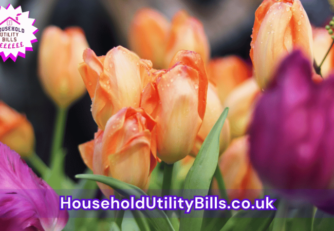 44_(Bulk 59) HUBS 4 HomeCare Image Template