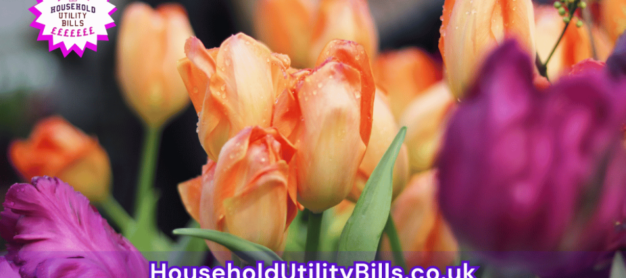 44_(Bulk 59) HUBS 4 HomeCare Image Template