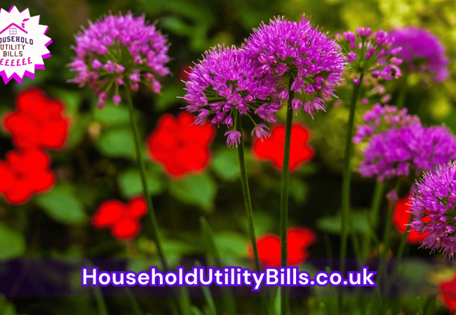 53_(Bulk 50) HUBS 4 HomeCare Image Template