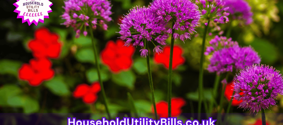 53_(Bulk 50) HUBS 4 HomeCare Image Template