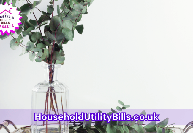 54_(Bulk 37) HUBS 2 HomeCare Image Template