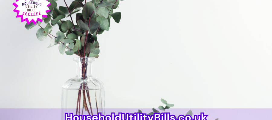 54_(Bulk 37) HUBS 2 HomeCare Image Template