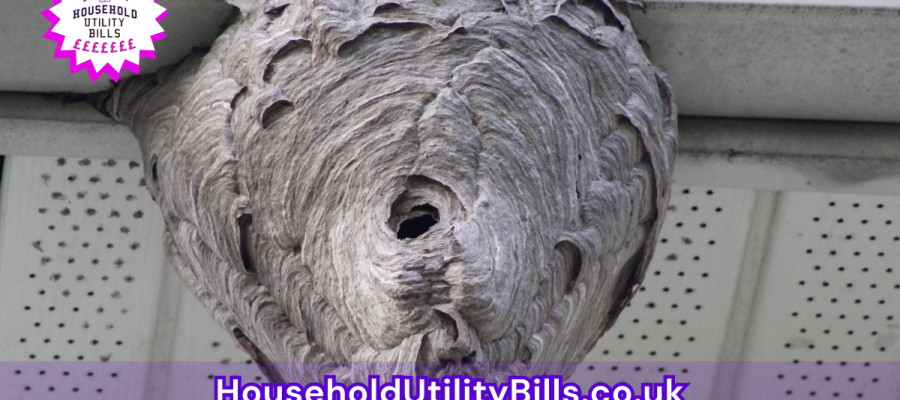 56_(Bulk 87) HUBS 2 Insurance Image Template