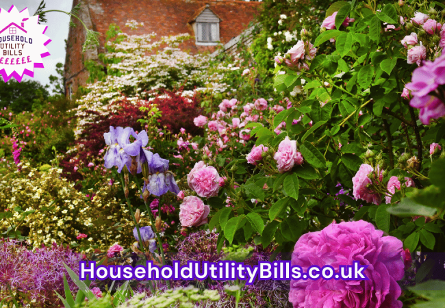 61_(Bulk 45) HUBS 4 HomeCare Image Template