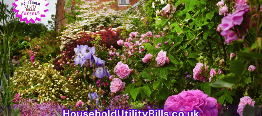 61_(Bulk 45) HUBS 4 HomeCare Image Template