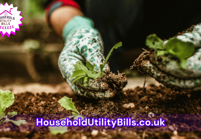 66_(Bulk 96) HUBS 4 HomeCare Image Template