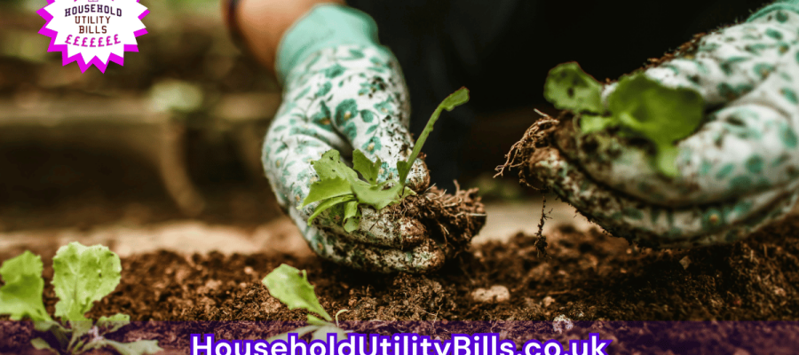 66_(Bulk 96) HUBS 4 HomeCare Image Template