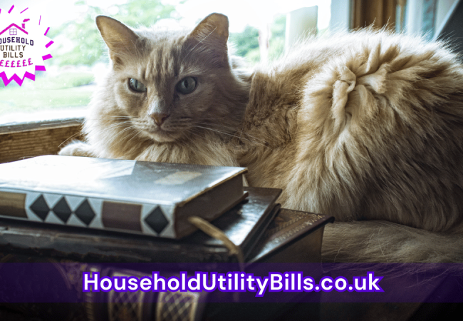 67_(Bulk 67) HUBS 4 HomeCare Image Template