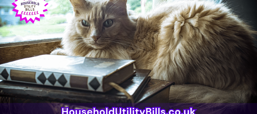 67_(Bulk 67) HUBS 4 HomeCare Image Template