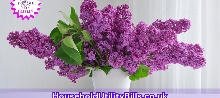 69_(Bulk 71) HUBS 2 HomeCare Image Template