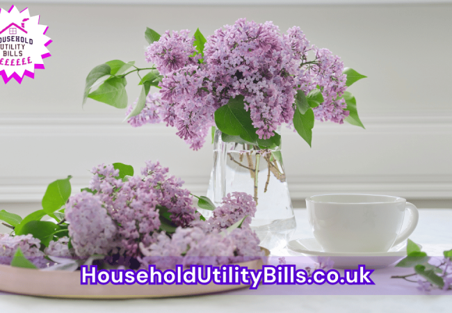 6_(Bulk 70) HUBS 2 HomeCare Image Template
