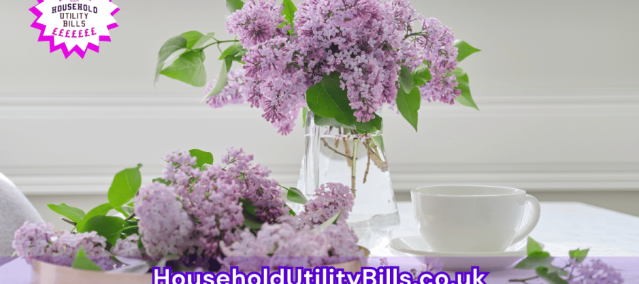 6_(Bulk 70) HUBS 2 HomeCare Image Template