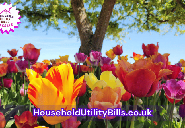 71_(Bulk 22) HUBS 4 HomeCare Image Template