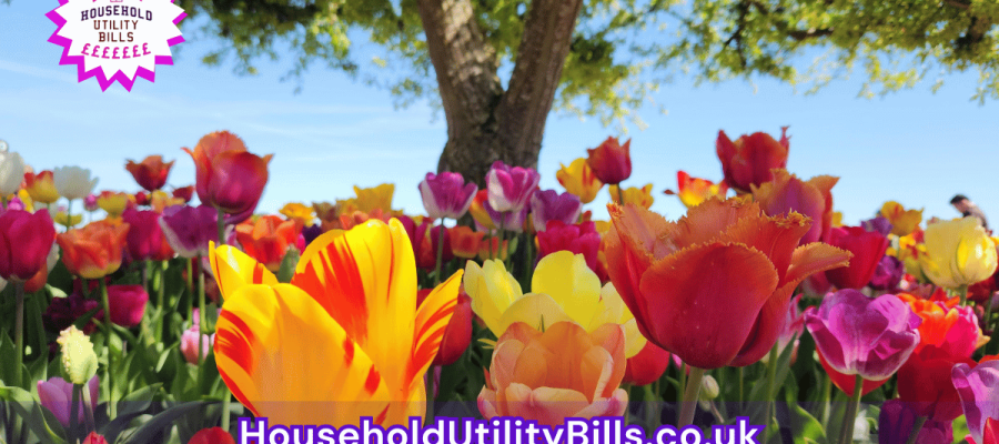 71_(Bulk 22) HUBS 4 HomeCare Image Template