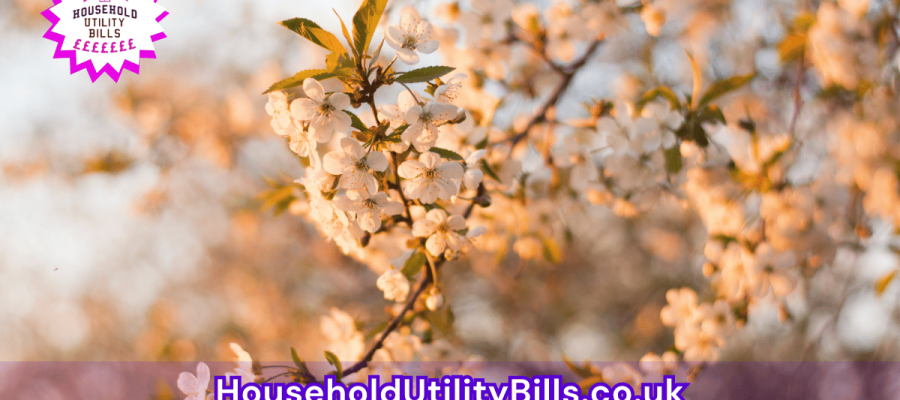 72_(Bulk 25) HUBS 4 HomeCare Image Template