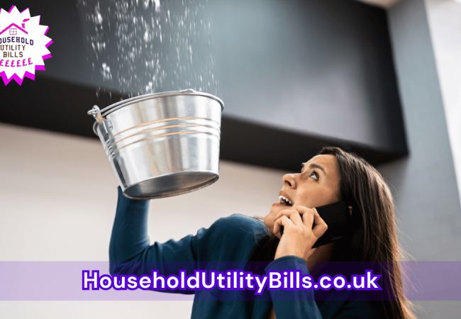 77_(Bulk 96) HUBS 2 Insurance Image Template