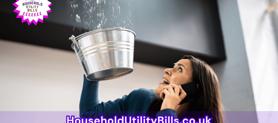 77_(Bulk 96) HUBS 2 Insurance Image Template