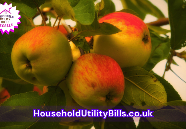 79_(Bulk 26) HUBS 4 HomeCare Image Template