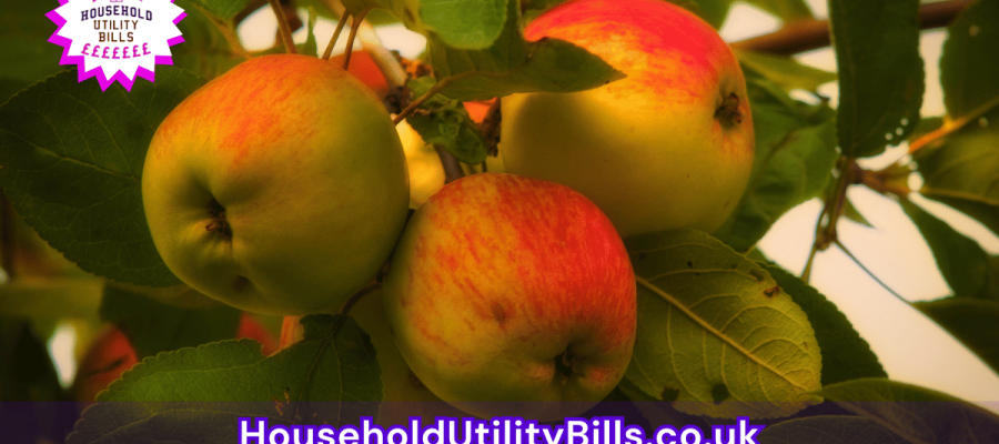 79_(Bulk 26) HUBS 4 HomeCare Image Template