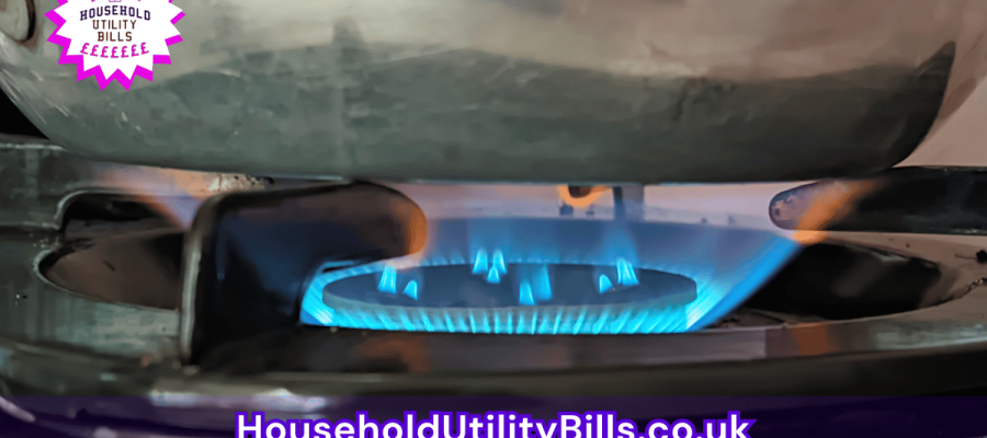 79_(Bulk 95) HUBS Energy Image Template