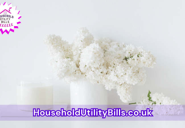 85_(Bulk 40) HUBS 2 HomeCare Image Template