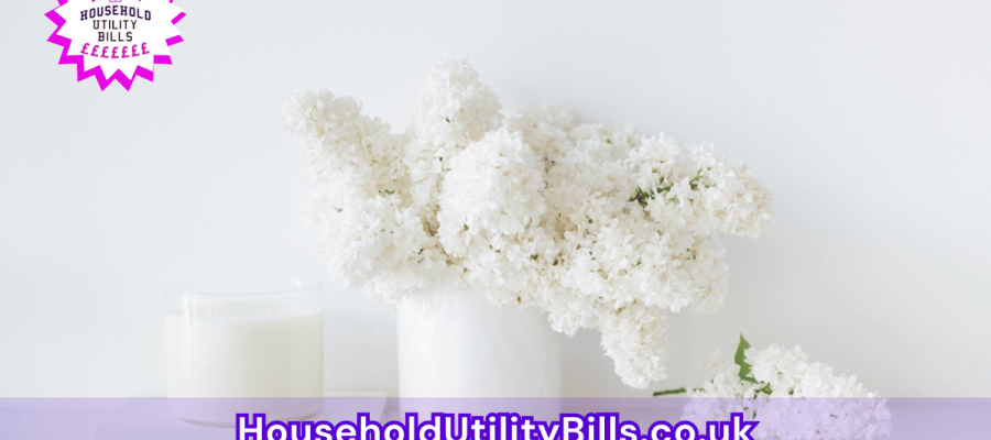 85_(Bulk 40) HUBS 2 HomeCare Image Template