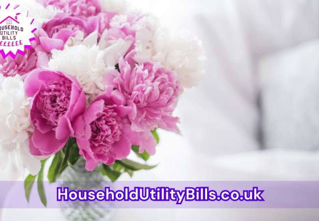 92_(Bulk 47) HUBS 2 HomeCare Image Template
