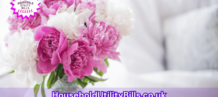 92_(Bulk 47) HUBS 2 HomeCare Image Template
