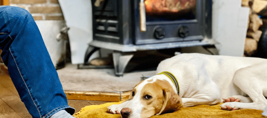 energy-efficient-wood-stove-are-wood-stoves-energy-efficient-uk